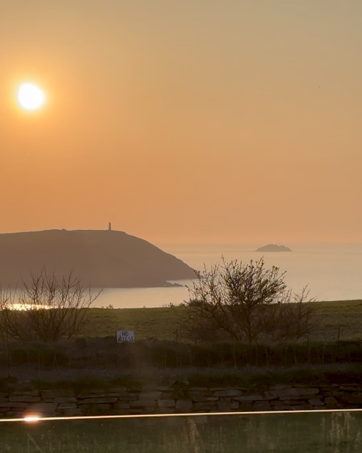 Snippets from the last few weeks - lucky us 🤎