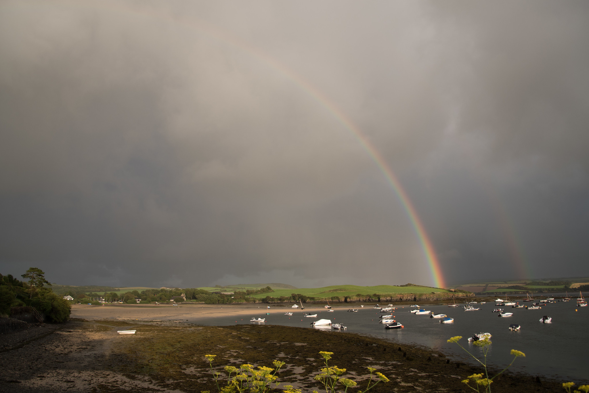 Porthilly Cove, dog friendly beach in north Cornwall.
