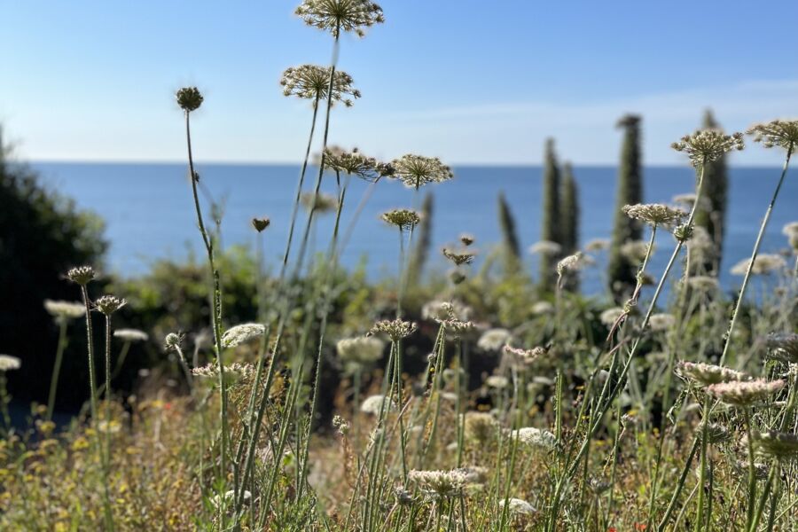 Highcliffe Cornwall Holiday homes in Polzeath